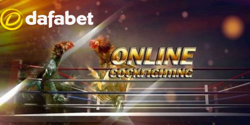 Các hình thức đá gà online tại Dafabet phổ biến hiện nay