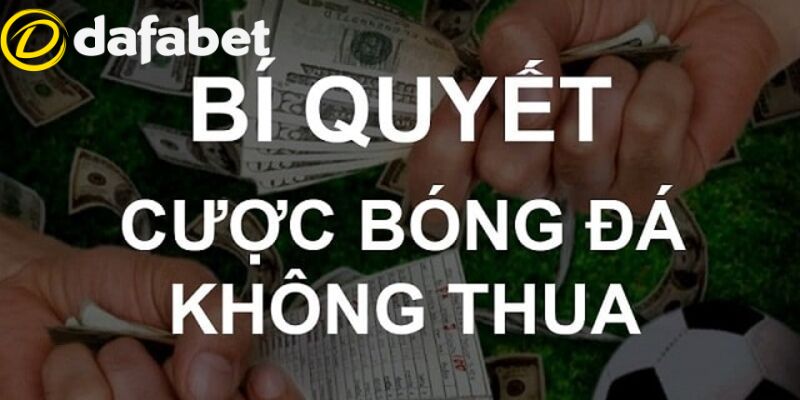 Mẹo Chơi Dafabet | Trọn Bộ Bí Kíp Hốt Sạch Tiền Nhà Cái 4 Mẹo chơi Dafabet - Bí quyết cá độ thể thao bất bại