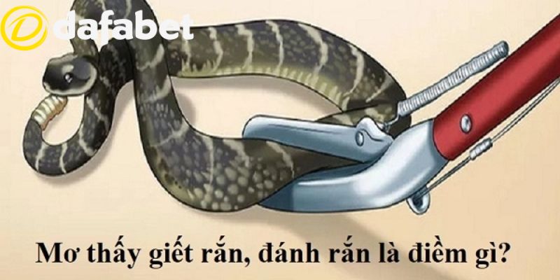 Ý nghĩa của các giấc mộng giết rắn