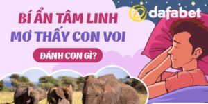 Mơ Thấy Voi